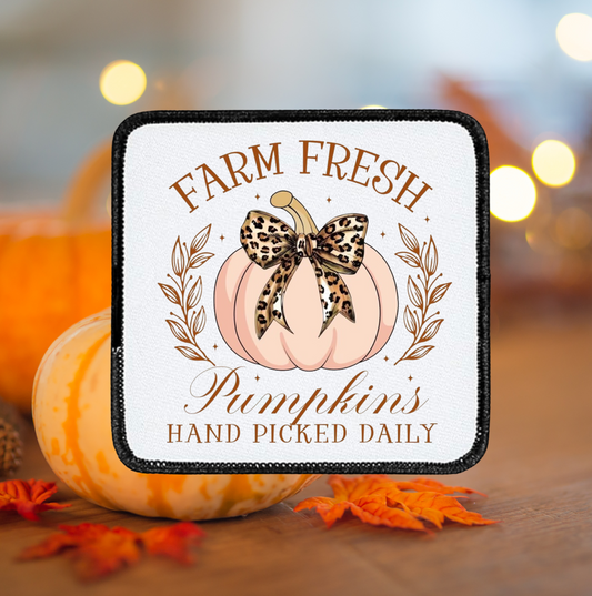 Farm Fresh Pumpkins ~ Square Patch